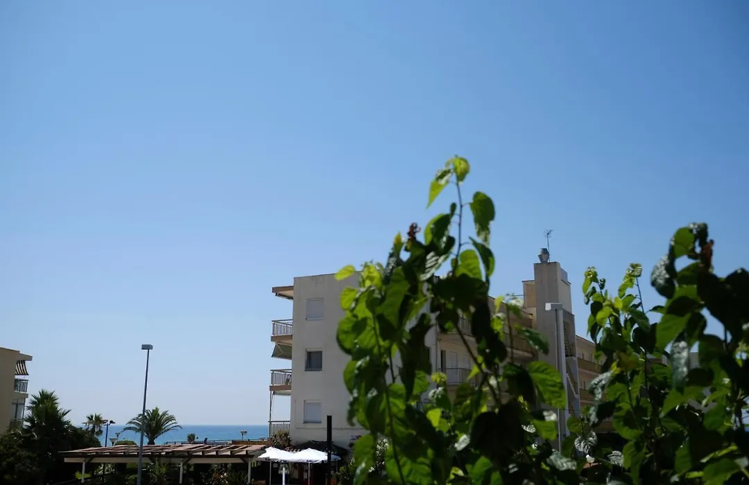 Apartaments Alex-1