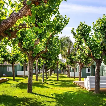 Camping La Llosa-3
