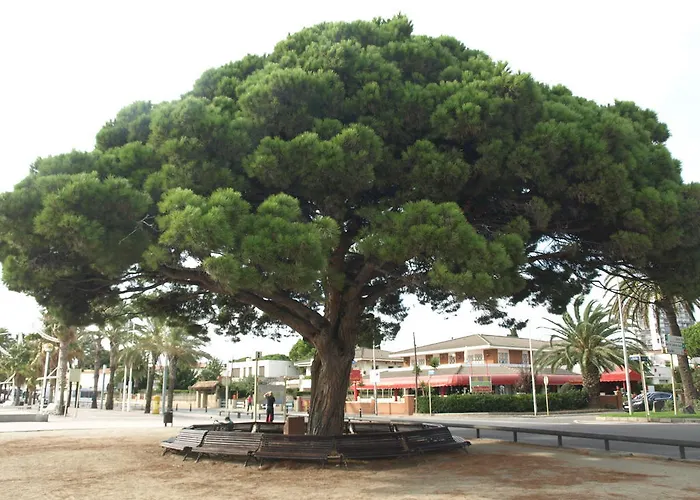 Apartaments Geminis Cambrils